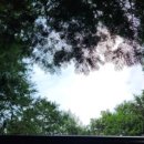 품안작은도서관 이미지