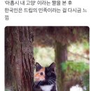 대박만두 이미지