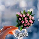 간추린 뉴스 이미지