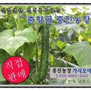 종진농장 이미지