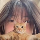 식빵굽냥 | 봄은 마지막 계절이 되어 끝이 나야해요