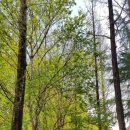 응급실국물떡볶이 부산덕천점 이미지