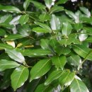 구계등민박 이미지