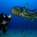 창조자연사박물관 이미지