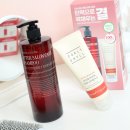 (주)파마솔루션 | 단백질샴푸 올리브영 극손상헤어팩 커리쉴 2월 올영픽 기획세트