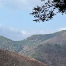 단양 오지 캠핑장 후기 | 별이 쏟아지는 캠핑장(우중 캠핑)