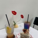 카페델리스