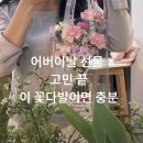라블룸 - 강남구 헌릉로571길 50-1 | 상남동 꽃집 라블룸 꽃다발 후기｜어버이날 카네이션 선물 추천