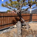 꽃피는 유포리 | 춘천 에어비앤비 대가족 독채<꽃피는 유포리> 두돌파티 대만족