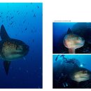 동진카써비스 이미지