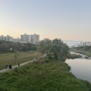 초대받은날 네이버블로그