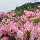 자뭇골공원 네이버블로그