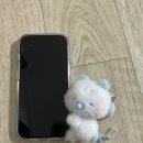 아지&냥이 | 눅눅한 빗방울의 향기를 맡으며