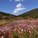 제99회 11월정기산행 (고창) 화시산.람사르습지 이미지