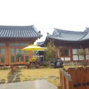 웅지와 나옹이 이미지