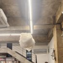 까미노 | 화성 장안 엘까미노 헤이즐넛 라떼 후기