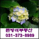 돈방석공인중개사사무소 이미지