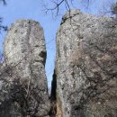 용순농장 이미지