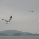용주농원