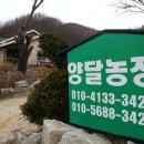 양달농장 - 보은군 애곡로 421 | 양달농장