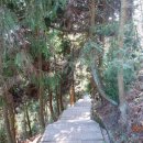 신계주유소 이미지