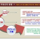라르시티 이미지