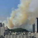 대구 함지산 산불, &#39;대응 3단계&#39;로 격상 이미지