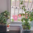 오백농장 이미지