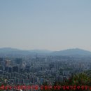 은평-026 Daum카페