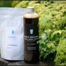 빈스브루 이미지