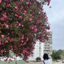 햇살조은약국 이미지