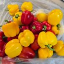 가우농장 이미지