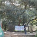 APEC나루공원1호 이미지