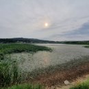 보통리 저수지 2 이미지