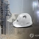 113 이미지