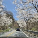 CU제천세명명문점 | [제천]포레스트 리솜 : S30객실후기/ 단락사진관/룸서비스 막걸리반상