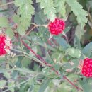 덕신해수욕장 이미지