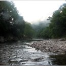 필돌농장 이미지