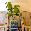 황실사우나 이미지