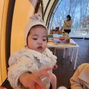 포레스트 빌리지 | 워커힐 포레스트 빌리지 후기