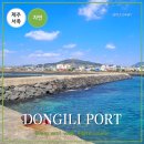 동일리-10 이미지