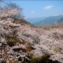 동아온천사우나 이미지