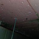 리빙사우나 이미지