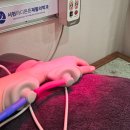 서현마디튼튼재활의학과의원 네이버블로그