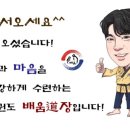 태권도 배움道장 이미지