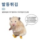 마포-상암-마포-6127 | 2025, 3월의 끝