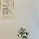 바사리 풀빌라 이미지