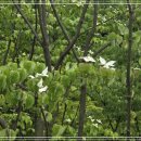 남양 성모 성지에서 해인 수녀님을 만나다 (1) 이미지