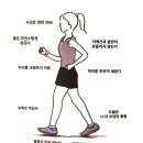 조기성약국 | 서평[26] 감기는 굶어야 낫는다.