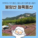서울 4월 가볼만한곳 | 노원구 불암산 철쭉동산 (나비정원) 철쭉제 방문 후기: 철쭉 개화 상태